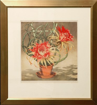 Lot 144 - Pirkhoff [BOUQUET OF FLOWERS] and [CACTUS...