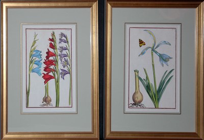 Lot 1085 - After Daniel Rabel [FLOWER STUDIES] Two...