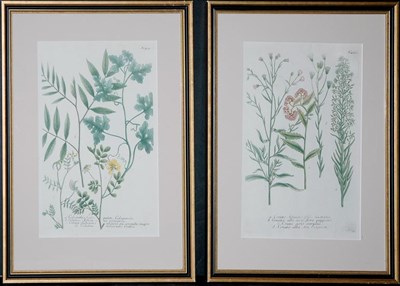 Lot 1069 - After Johann Weinmann [FLOWER STUDIES] Two...