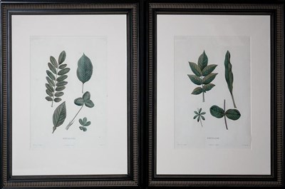 Lot 1083 - After Pierre-Joseph Redoute FEUILLES Two color...
