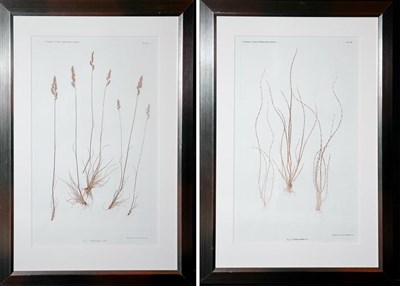 Lot 1071 - Constantin von Ettingshausen and Alois Pokorny...