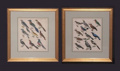 Lot 4093 - After Lorenz Oken [BIRDS] Two hand-colored...