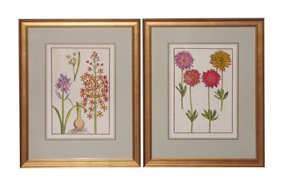 Lot 4084 - After Daniel Rabel [FLOWER STUDIES] Two...