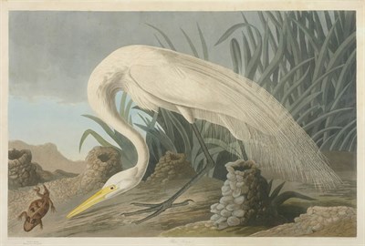 Lot 2150 - After John James Audubon WHITE HERON...