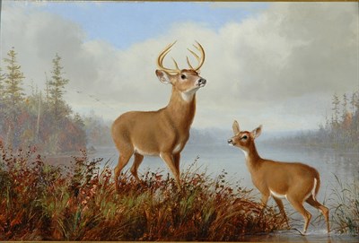 Lot 1168 - Arthur Fitzwilliam Tait 1819-1905 STAG AND DOE...