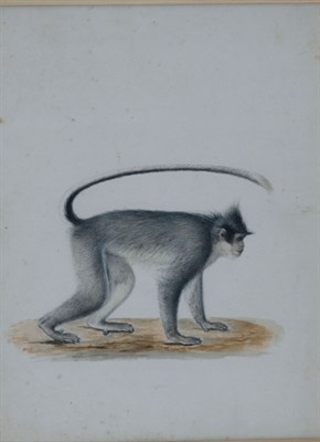 Lot 2034 - Dutch School Early 19th century Red Howler...