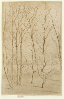 Lot 3286 - James Abbott McNeill Whistler THE DAM WOOD (K....