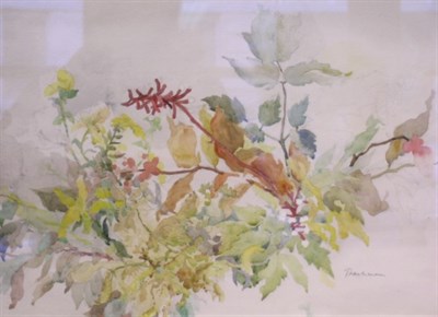Lot 54 - Tranerman 20th Century STUDY OF LEAVES Signed...