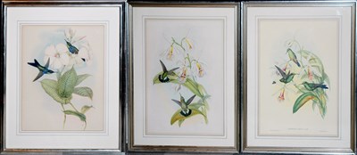 Lot 129 - J. Gould & H.C. Richter [HUMMINGBIRDS] Three...