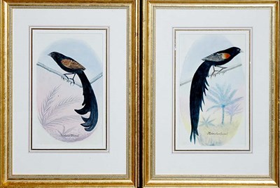 Lot 1081 - Artist Unknown JACKSONS WIDAH and...