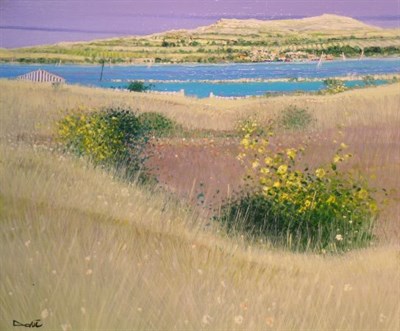 Lot 24 - Dominique Dorie French, b.1958 RIVAGES DU SUD...