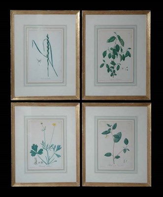 Lot 110 - Hocquart [FLOWER STUDIES] Four hand-colored...