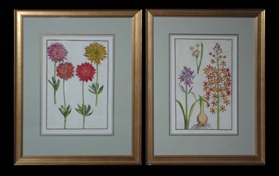 Lot 95 - After Daniel Rabel [FLOWER STUDIES] Two...