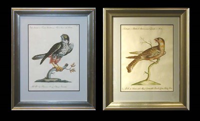 Lot 109 - Saverio Manetti, Lorenzo Lorenzi and Violante...