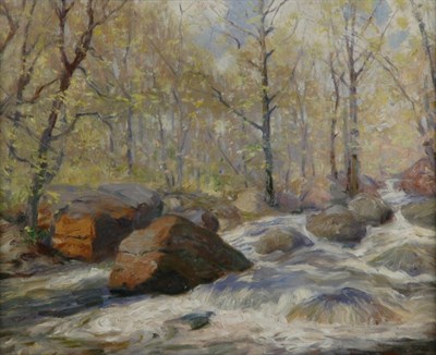 Forest Stream