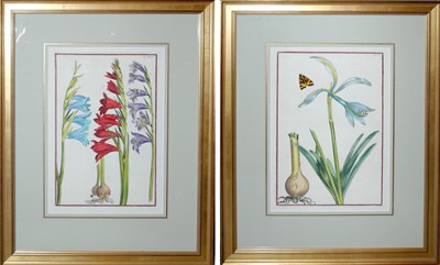 Lot 151 - After Daniel Rabel [FLOWER STUDIES] Two...