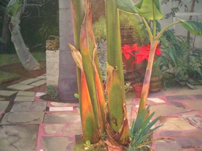 Lot 63 - Wade Reynolds American, b. 1929 January, '81...