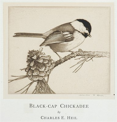 Lot 3350 - Charles Emile Heil BLACK-CAP CHICKADEE;...