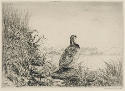 Lot 3329 - Roland Clark BOB WHITE Drypoint, signed and...