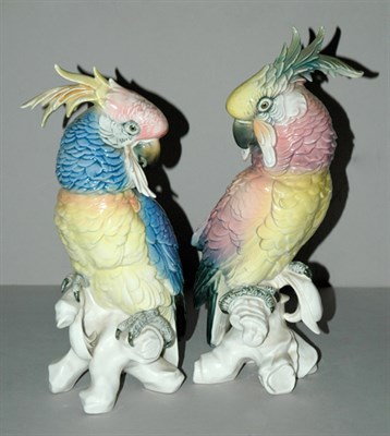 Lot 375 - Pair of German Porcelain Figures of Parrots