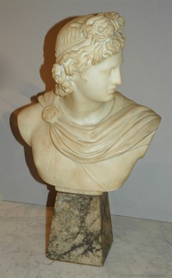 Lot 2529A - Italian Marble Bust of a Greek Youth After the...