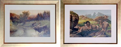 Lot 142 - H. Sandham [MOOSE DRINKING] Chromolithograph;...