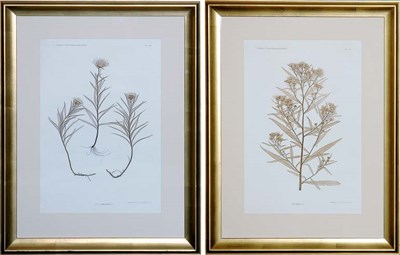 Lot 137 - Constantin von Ettingshausen and Alois Pokorny...