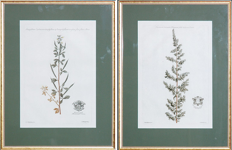 Lot 130 - After Jan Van Huysum [PLANT STUDIES] Two...