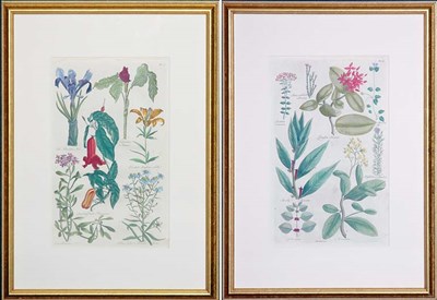 Lot 139 - Sir John Hill [FLOWER STUDIES] Two...