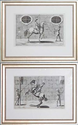 Lot 124 - After George Simon Winter [DRESSAGE STUDIES]...