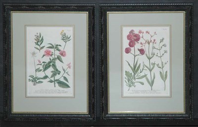 Lot 106 - After Johann Weinmann [FLOWER STUDIES] Two...