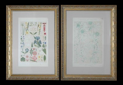 Lot 110 - Owen Jones LEAVES AND FLOWERS FROM NATURE NO....