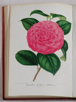 Lot 3064 - VERSHAFFELT, AMBROISE Nouvelle Iconographie...