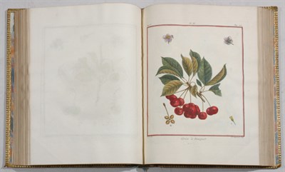 Lot 3035 - DUHAMEL DU MONCEAU, HENRI LOUIS Traite des...