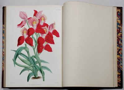 Lot 3065 - WARNER, ROBERT Select Orchidaceous Plants 82...