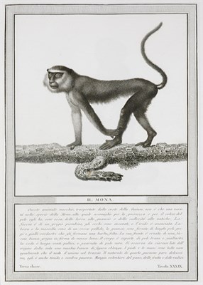 Lot 3038 - JACOB, NICHOLAS HENRI Storia Naturale Delle...