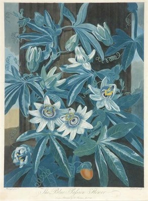 Lot 3277 - Dr. Robert Thornton, publisher THE BLUE...