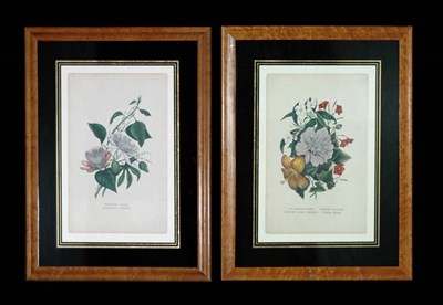 Lot 103 - Artist Unknown THE MAHIM MOGREE... and...