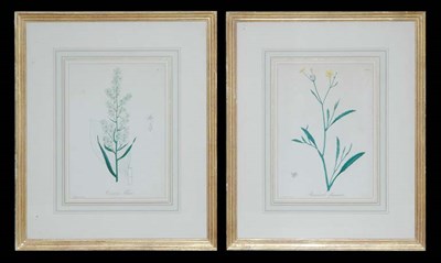Lot 93 - Hocquart [FLOWER STUDIES] Four hand-colored...