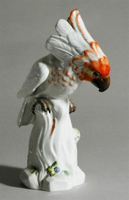 Lot 4647 - Meissen Porcelain Cockatoo Height 10 inches.