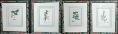 Lot 4112 - After Pancrace Bessa [FLOWER STUDIES] Four...