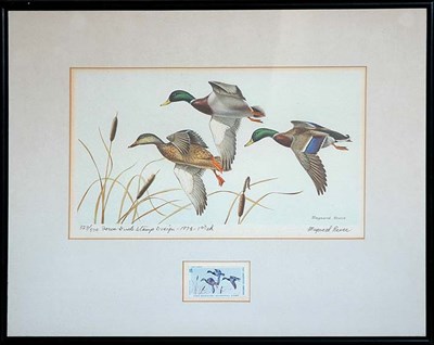 Lot 4133 - Maynard Reece IOWA DUCK STAMP DESIGN Color...