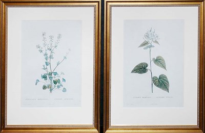 Lot 4107 - After P. J. Redoute COCHLEARIA OFFICINALIS and...