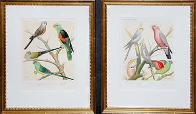 Lot 4115 - After W. Rutledge COCKATEEL MALE... and...