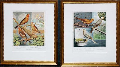 Lot 4109 - After Ludlow LIZARD CANARIES and GOLDFISH AND...