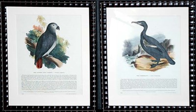 Lot 4101 - SPCK, publishers THE COMMON GREY PARROT and...