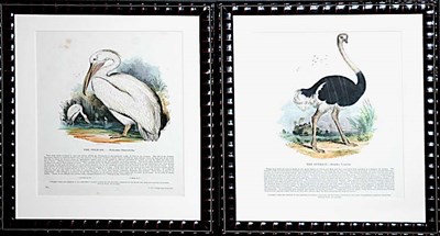 Lot 4113 - SPCK, publishers THE OSTRICH and THE PELICAN...