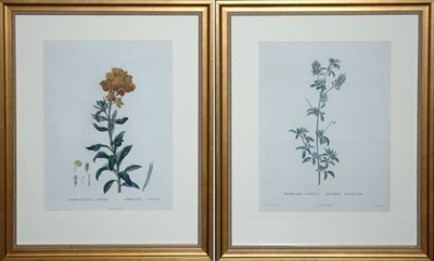 Lot 83 - After Pierre-Joseph Redoute MEDICAGO SATIVA......