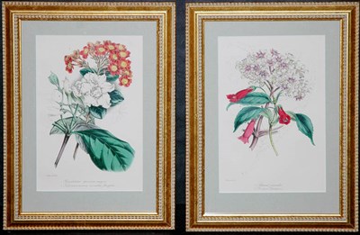 Lot 81 - S. Holden [FLOWER STUDIES] Two hand-colored...