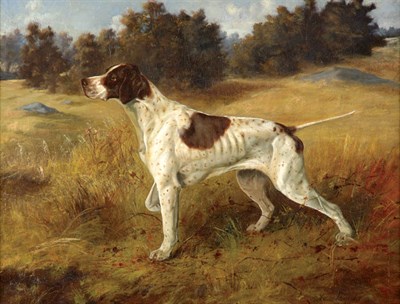 Pointer in a Landscape